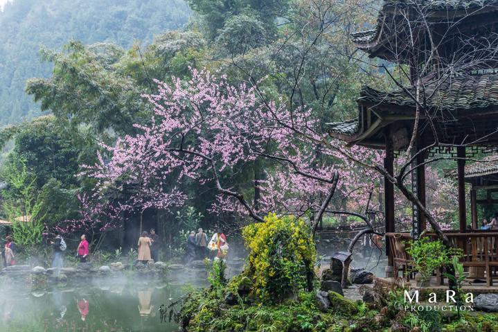 主公莫慌